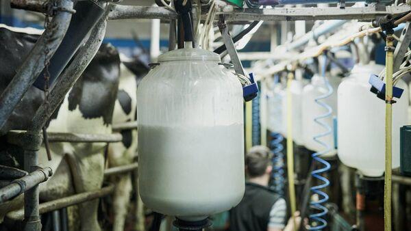 Lakeland milk price increases by 2c