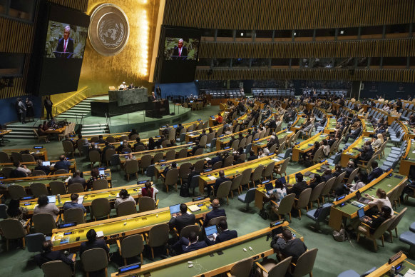 Representatives attending the 79th session of the United Nations General Assembly last week.